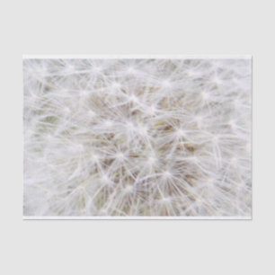 Papier Mousseline Dandelion 9668