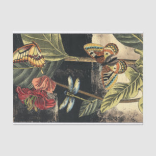 Papier Mousseline Dark Nature Scene par Vision Studio