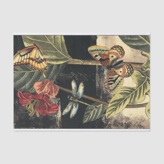 Papier Mousseline Dark Nature Scene par Vision Studio (Recto)