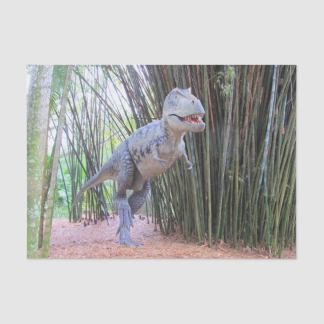 Papier Mousseline Daspletosaur - Dinosaure Papier Tissu (Recto)