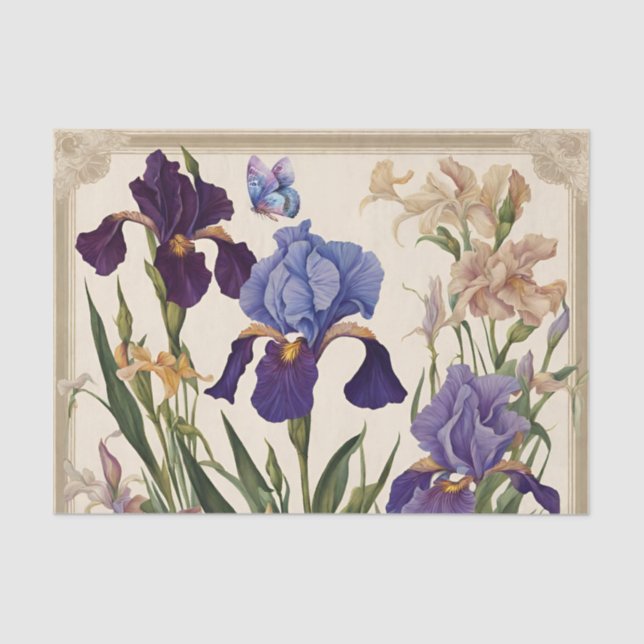 Papier Mousseline De Belles Fleurs Iris (Recto)