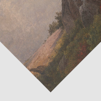Papier Mousseline Débarrassage |