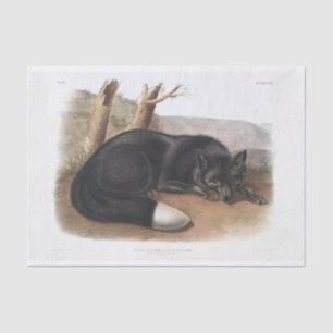 Papier Mousseline Découpage américaine Black ou Silver Fox