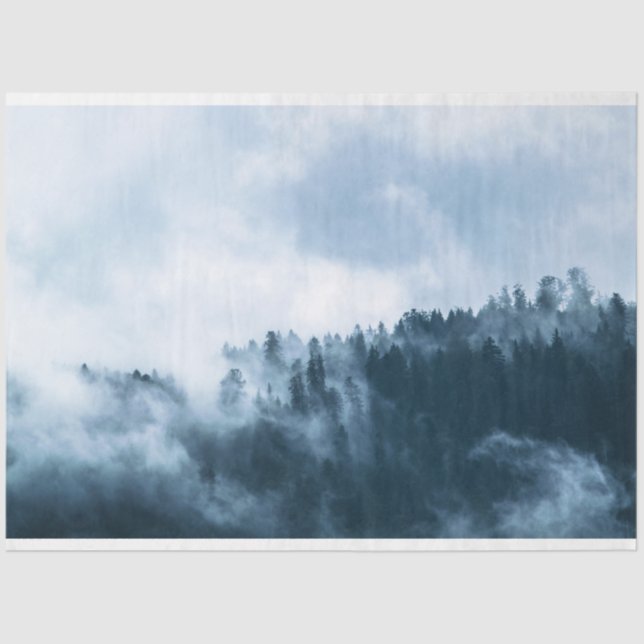 Papier Mousseline Découpage Arrière - plan de brouillard forestier (Recto)