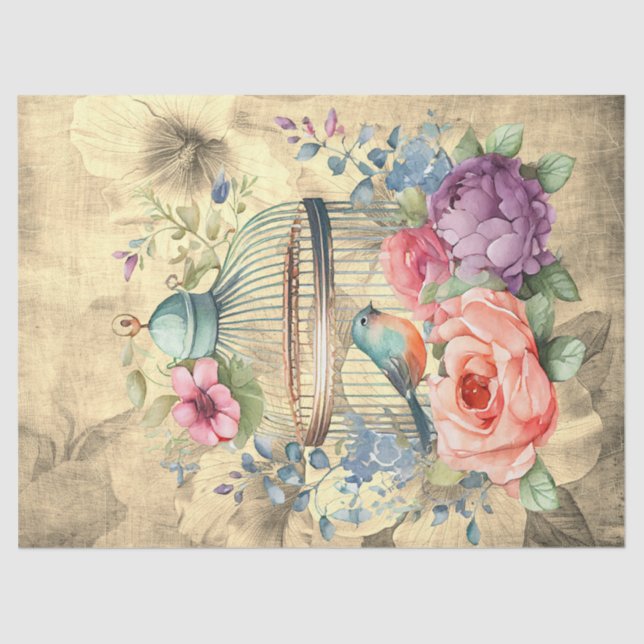 Papier Mousseline Découpage Arrière - plan du parchemin de cage d'oi (Recto)