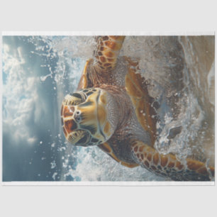 Papier Mousseline Découpage Art numérique tortue de mer en océan