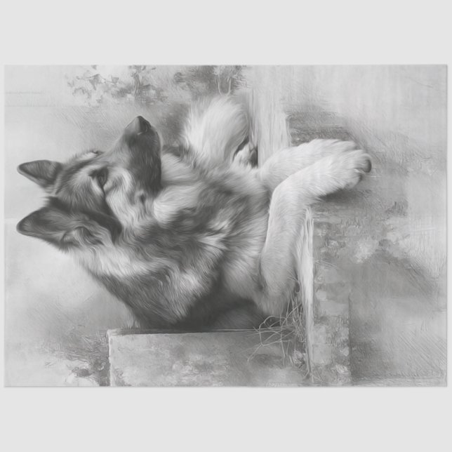 Papier Mousseline Découpage Charcoal German Shepard Portrait (Recto)