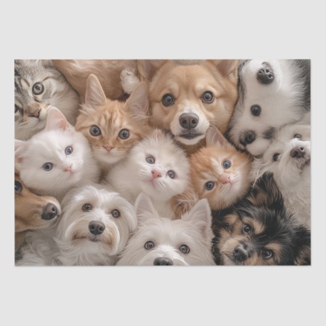 Papier Mousseline Découpage Chats et Chiens Whimsical Chat & Chiens  (Recto)