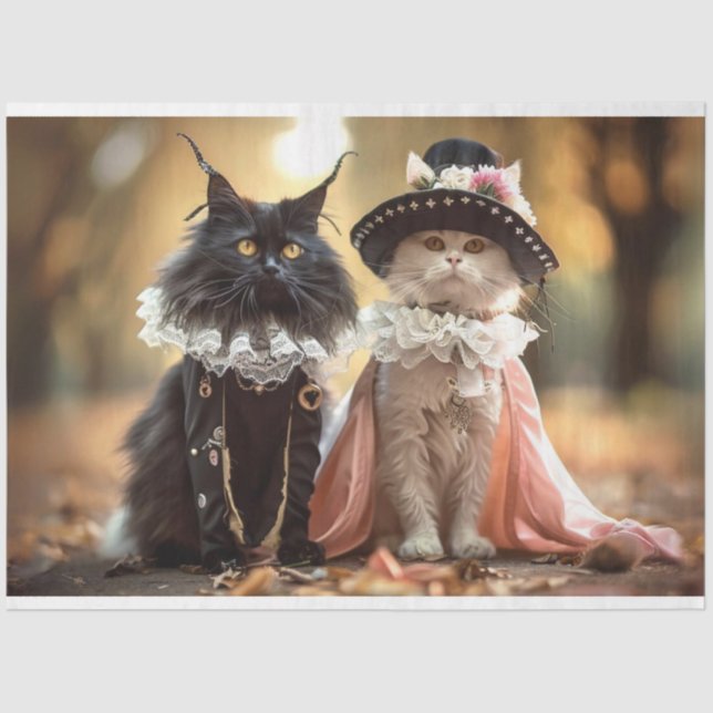 Papier Mousseline Découpage Chats Français Mystique & Duchesse (Recto)