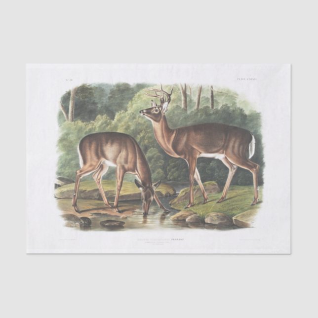 Papier Mousseline Découpage de cerfs de Virginie Vintage (Recto)