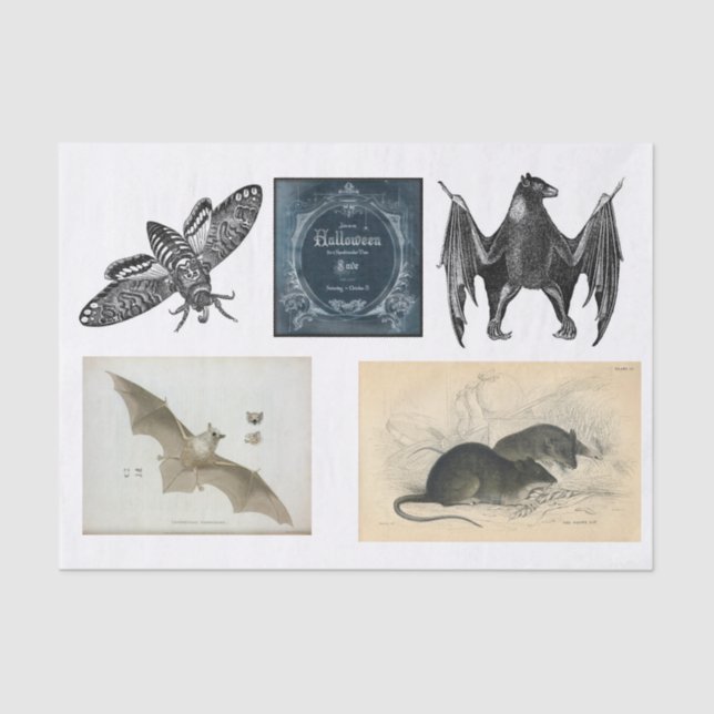 Papier Mousseline Découpage de collection Halloween (Recto)
