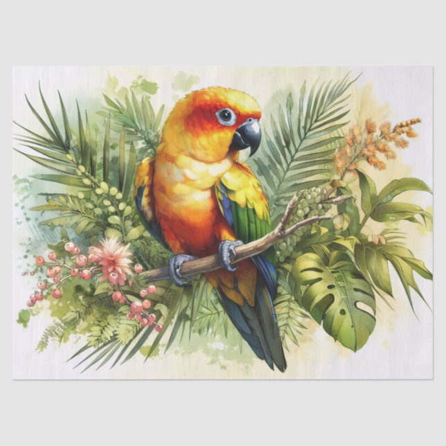 Papier Mousseline Découpage de Conure Soleil (Recto)