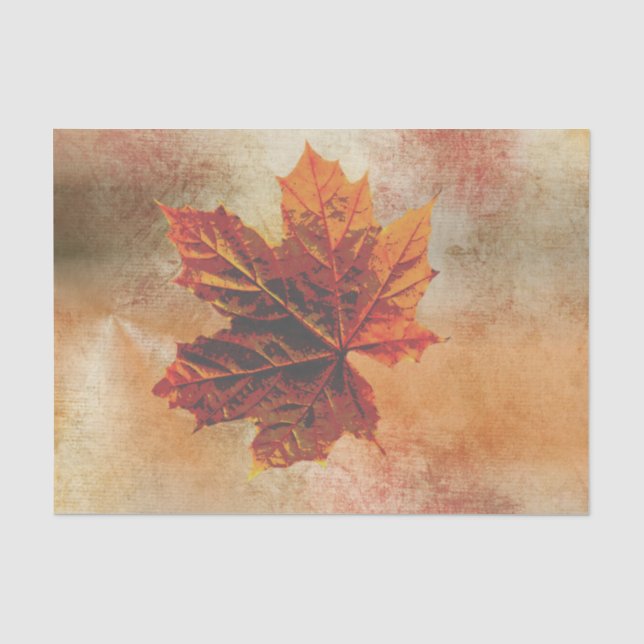 Papier Mousseline Découpage de feuille d'automne Wrap Pumpkim  (Recto)