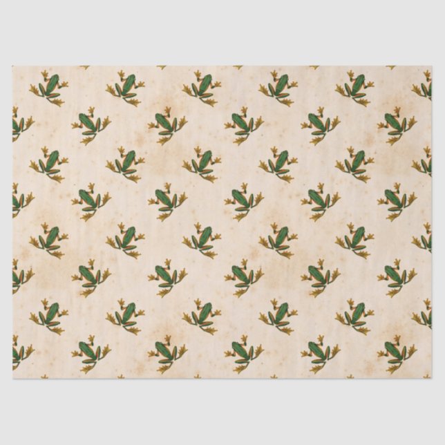 Papier Mousseline Découpage de grenouille verte (Recto)