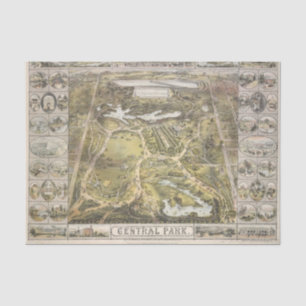 Papier Mousseline Découpage de la carte du parc vintage New York