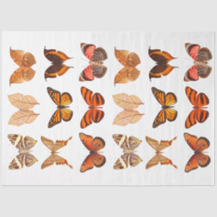 Papier Mousseline Découpage de la collection de papillons orange or