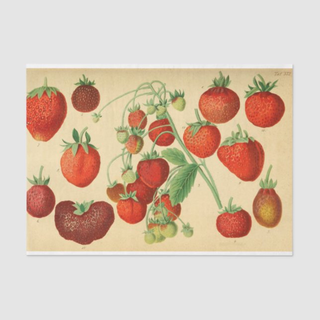 Papier Mousseline Découpage de l'éphémère aux fraises rouges (Recto)