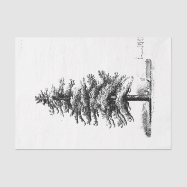 Papier Mousseline Découpage de l'éphémère de l'arbre vintage (Recto)