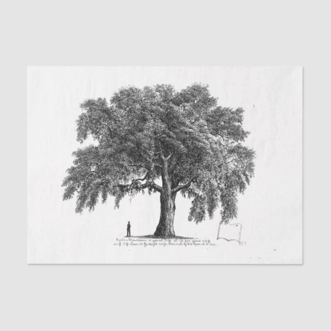 Papier Mousseline Découpage de l'éphémère de l'arbre vintage (Recto)