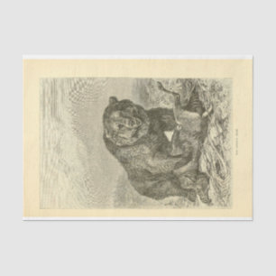 Papier Mousseline Découpage de l'éphémère de l'ours vintage