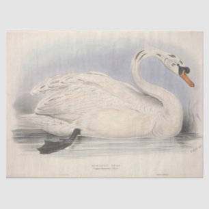 Papier Mousseline Découpage de l'Ephémère du cygne blanc d'oiseaux