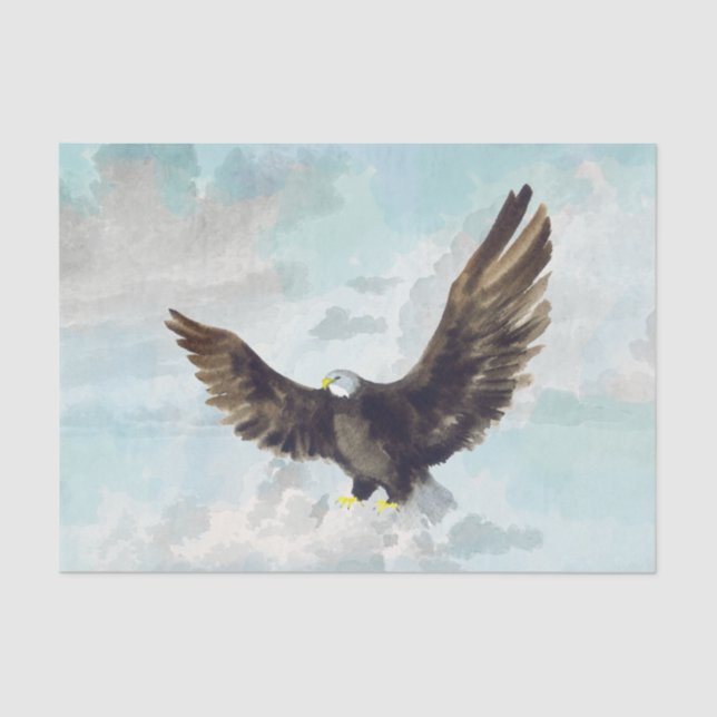 Papier Mousseline Découpage de l'oeuvre d'aigle à tête blanche (Recto)