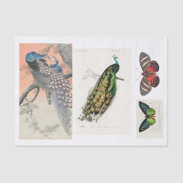 Papier Mousseline Découpage de paon et de papillon (Recto)