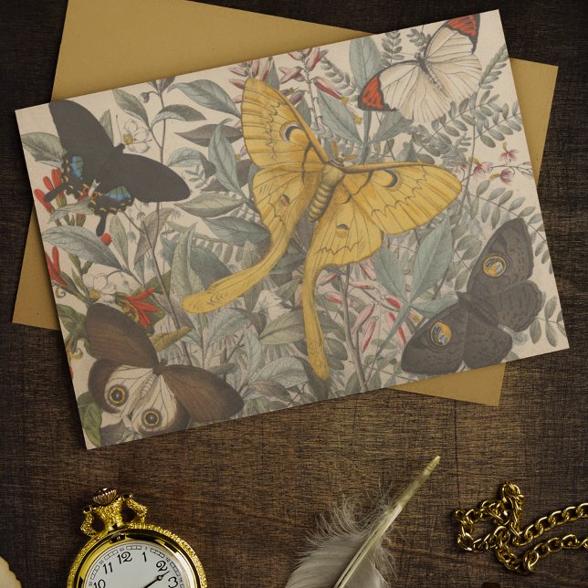 Papier Mousseline Découpage de papillon Luna Botanique vintage (Créateur téléchargé)