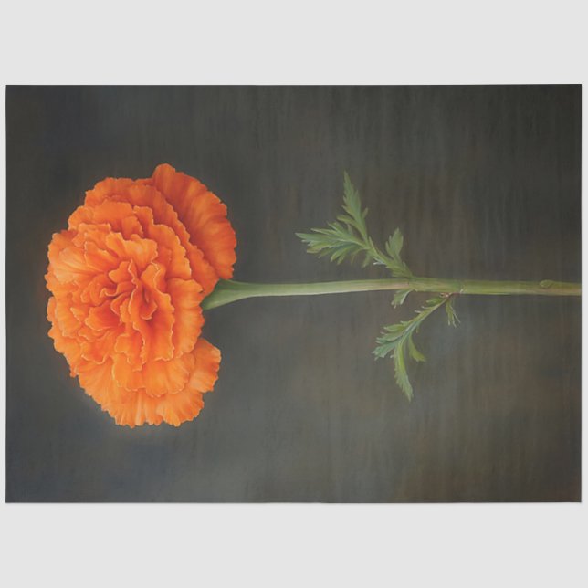 Papier Mousseline Découpage de peinture botanique de Marigold (Recto)