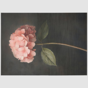 Papier Mousseline Découpage de peinture botanique d'Hydrangée rose