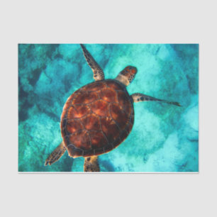 Papier Mousseline Découpage de plongée de la tortue marine