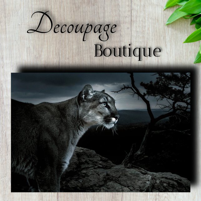 Papier Mousseline Découpage de Puma (Mountain Lion Decoupage Tissue Paper)