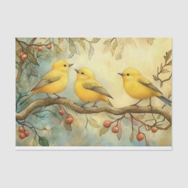 Papier Mousseline DÉCOUPAGE D'Oiseaux-chanteurs de marteau jaune (Recto)