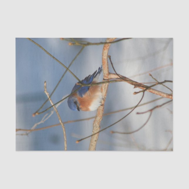 Papier Mousseline Découpage du bleuet d'hiver (Recto)