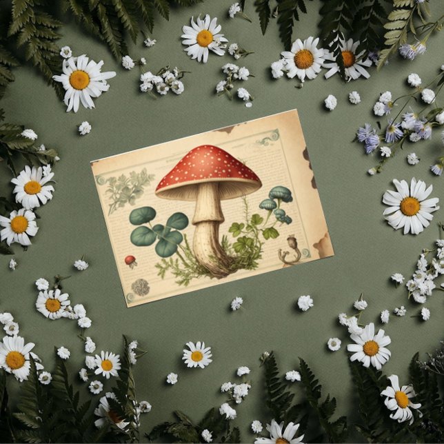 Papier Mousseline Découpage du champignon vintage (Créateur téléchargé)