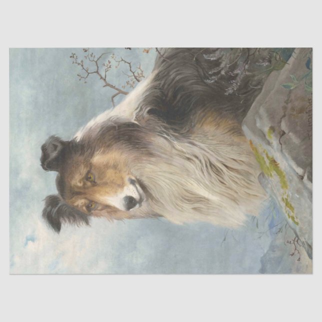 Papier Mousseline Découpage du chien Collie (Recto)