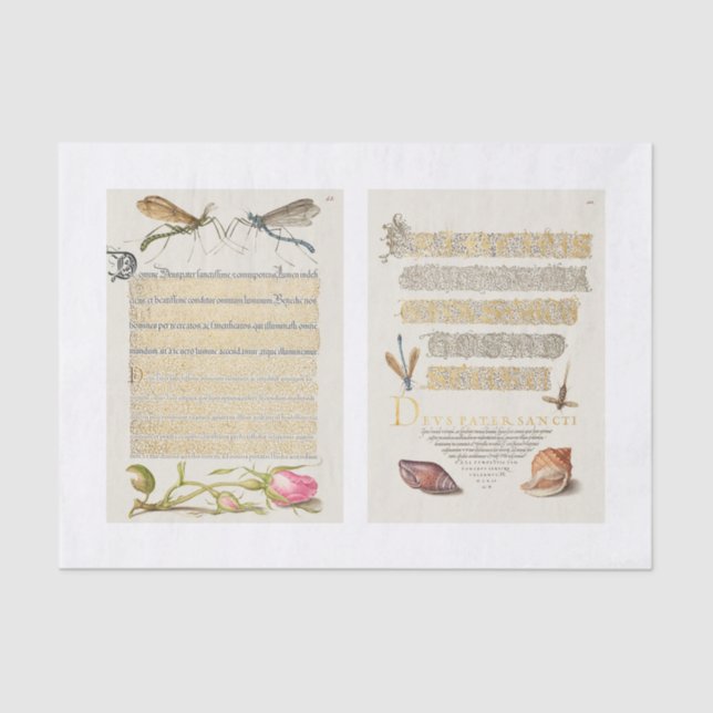 Papier Mousseline Découpage du jardin de calligraphie florale (Recto)