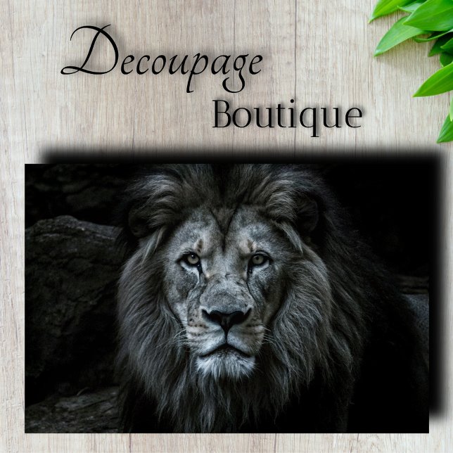 Papier Mousseline Découpage du lion majestueux (Majestic Lion Decoupage Tissue Paper)