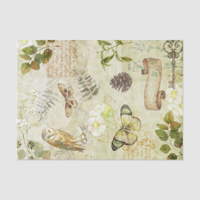 Papier Mousseline Découpage du papillon de la Chouette sauvage de la (Recto)