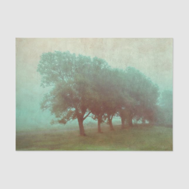 Papier Mousseline Découpage du paysage de la texture Turquoise Vinta (Recto)