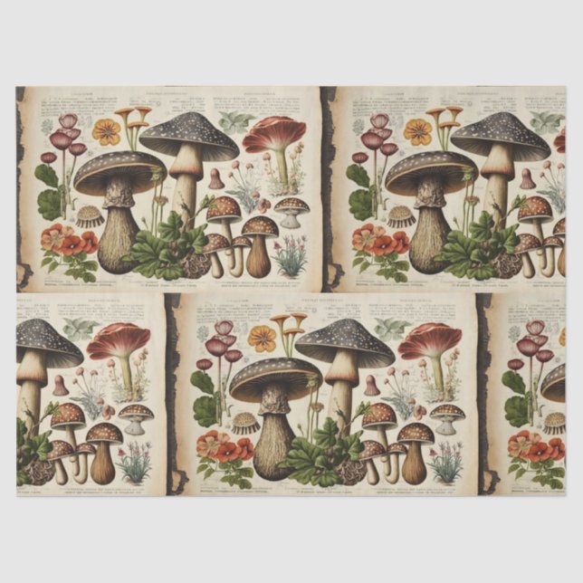 Papier Mousseline Découpage du salon de champignons vintages (Recto)