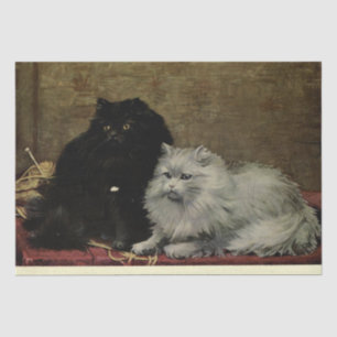 Papier Mousseline Découpage Ephémère de chat Persiennes blanches noi