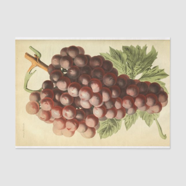 Papier Mousseline Découpage Ephémère de vin rouge violet (Recto)