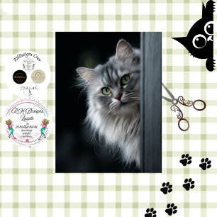 Papier Mousseline Découpage Fantaisiste Chat Persan Gris Blanc