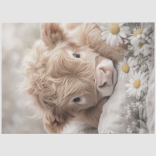 Papier Mousseline Découpage Fleurs de soleil de calcaire des Highlan