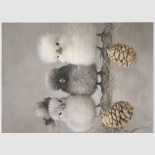 Papier Mousseline Découpage Fluffy Chicks sur une branche