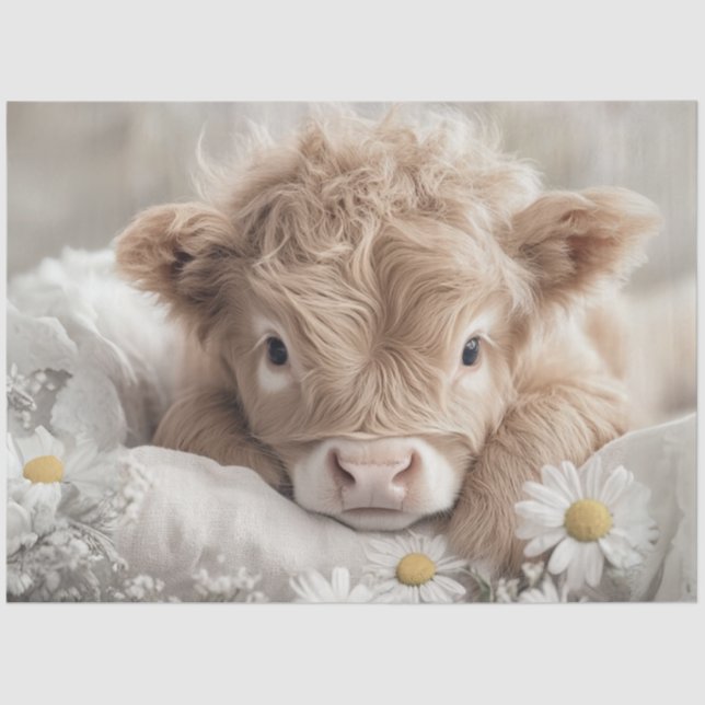 Papier Mousseline Découpage Haut-fonds Calf Blanc marguerites (Recto)