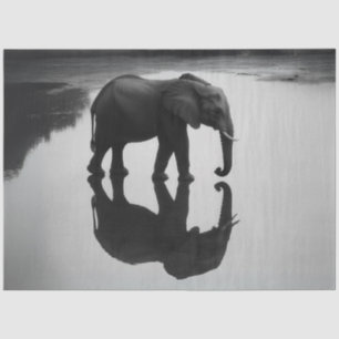 Papier Mousseline Découpage Majestic African Elephant & Réflexion