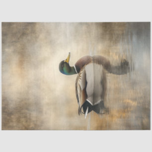 Papier Mousseline Découpage Mallard Duck Pond & Réflexion