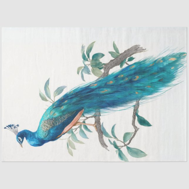 Papier Mousseline Decoupage Natures Crown Botanical Peacock  (Recto)